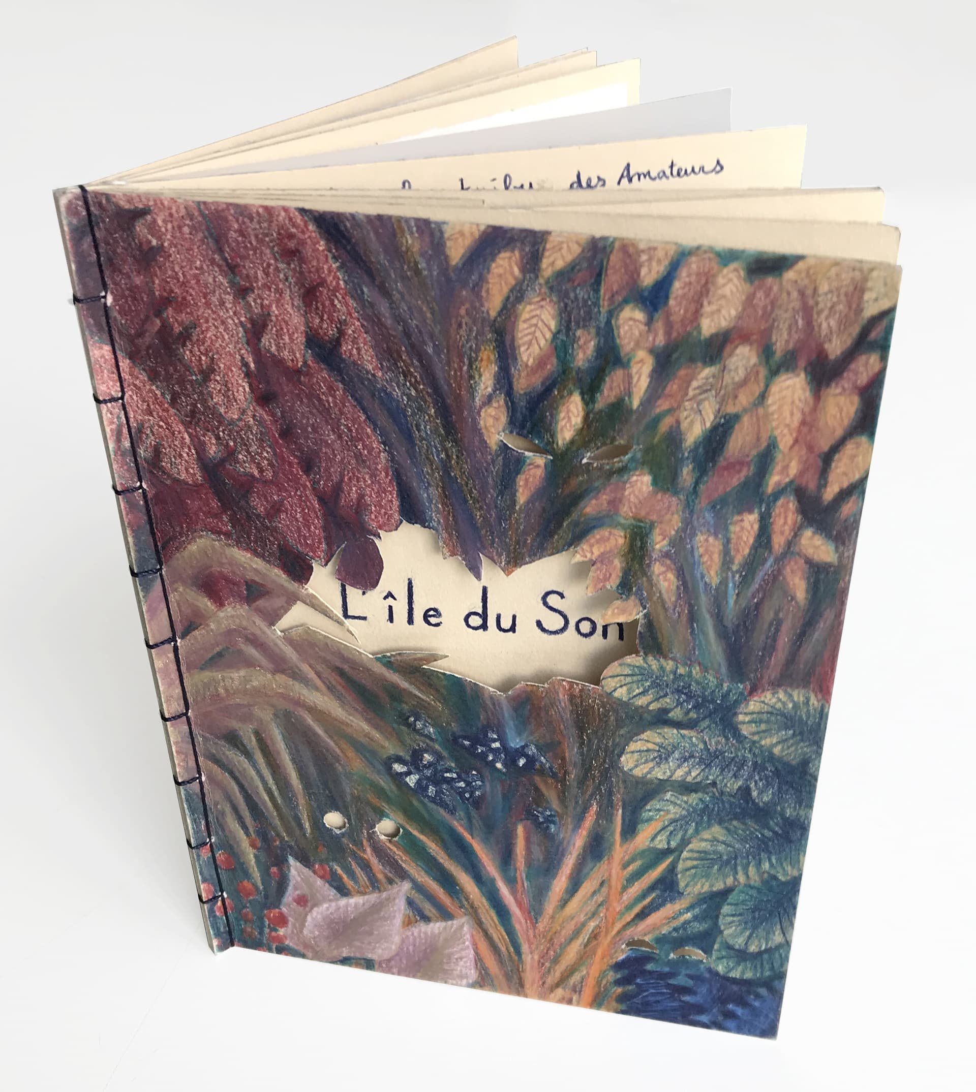 Illustration of Luna Olivier, from her project L'île du Son. Cover