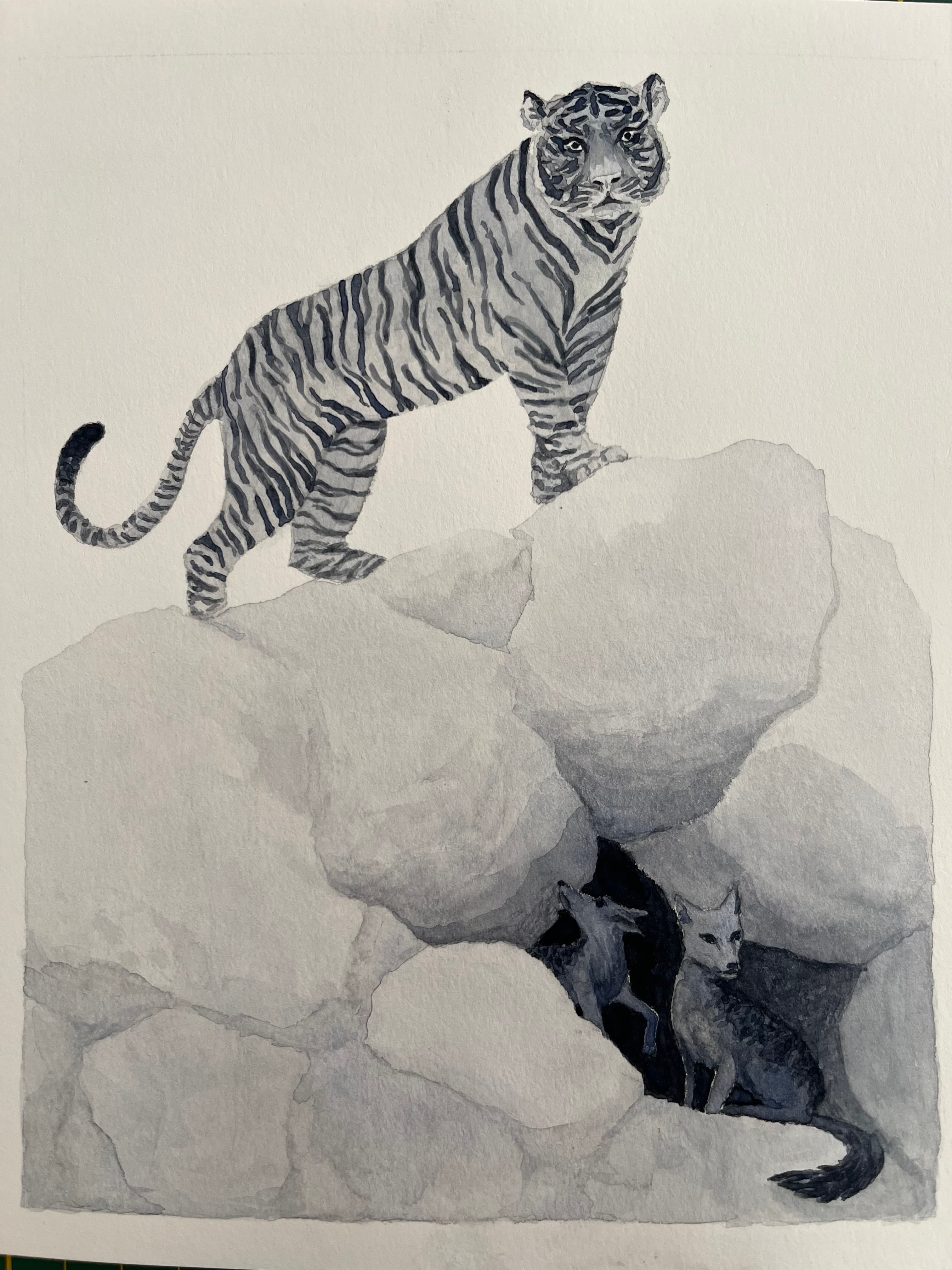 Illustration of Luna Olivier, from her project Le Seigneur de la mousson et autres contes de l'Inde du Sud. A tiger is standing on rocks.