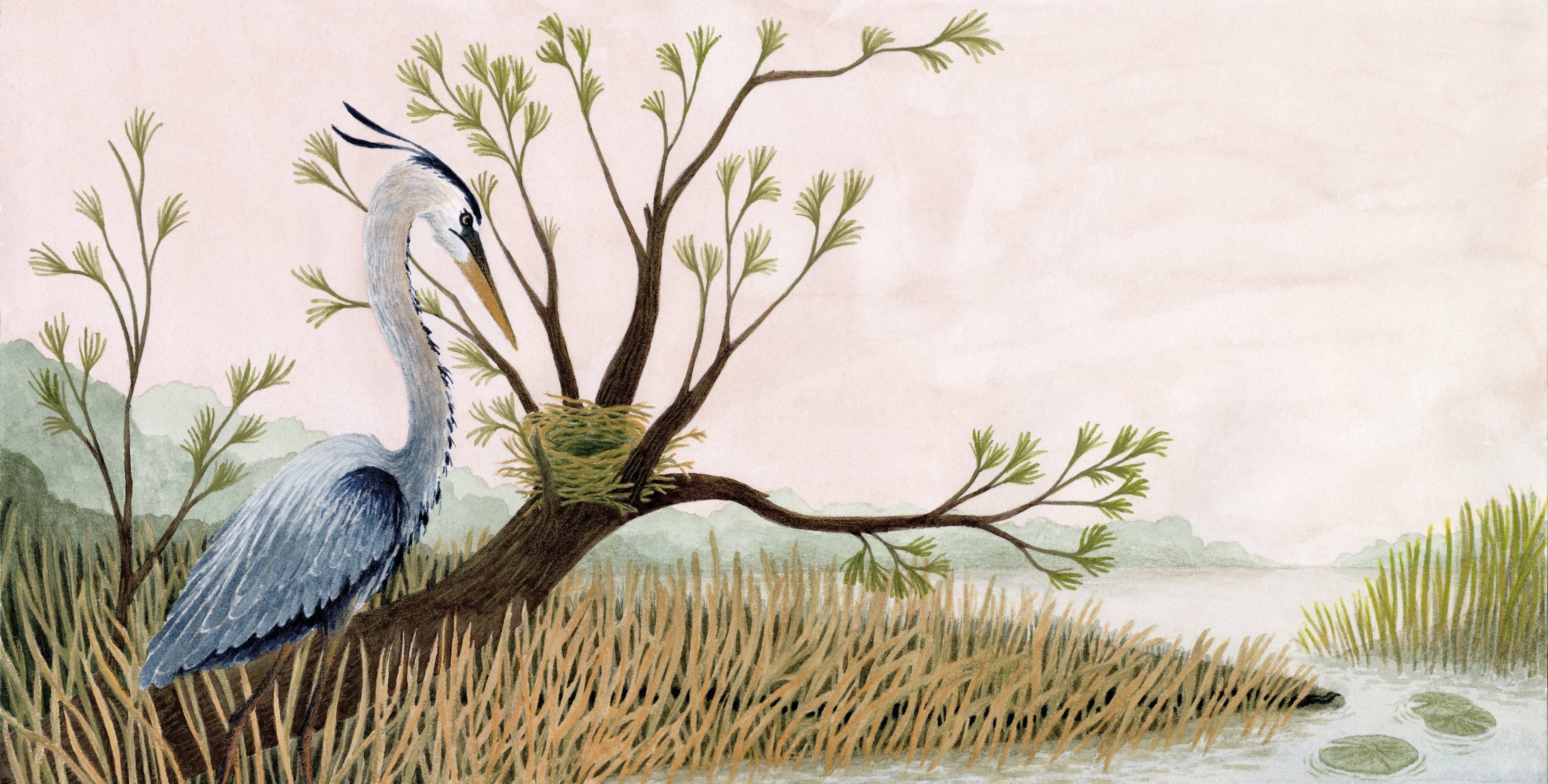 Illustration of Luna Olivier, from her project Le héron et la vipère. The heron watching over its nest in a tree, against a pink sky.