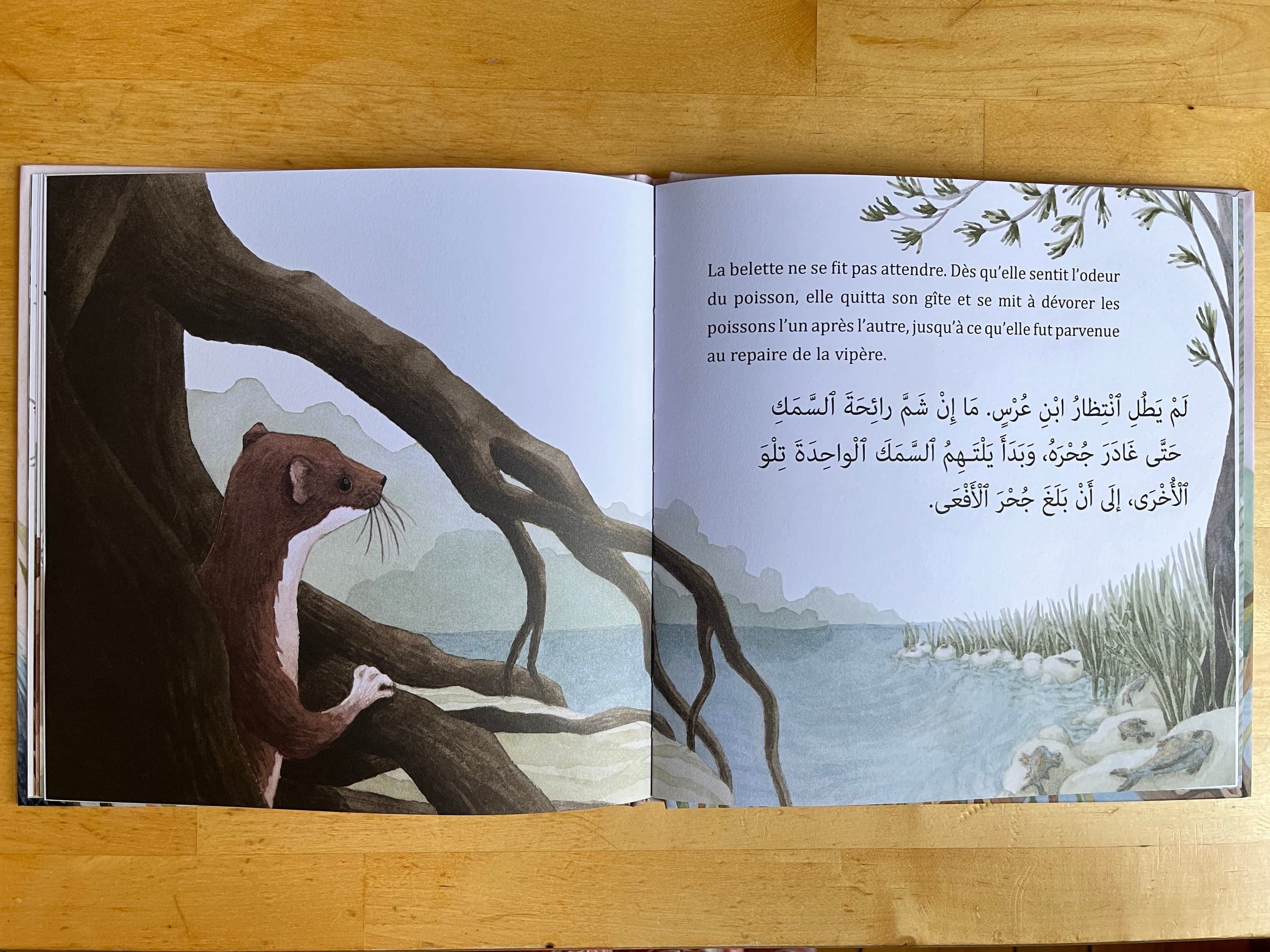 Illustration of Luna Olivier, from her project Le héron et la vipère. A photography of a double-page showing a weasel climbing a tree, with the French and Arabic text.