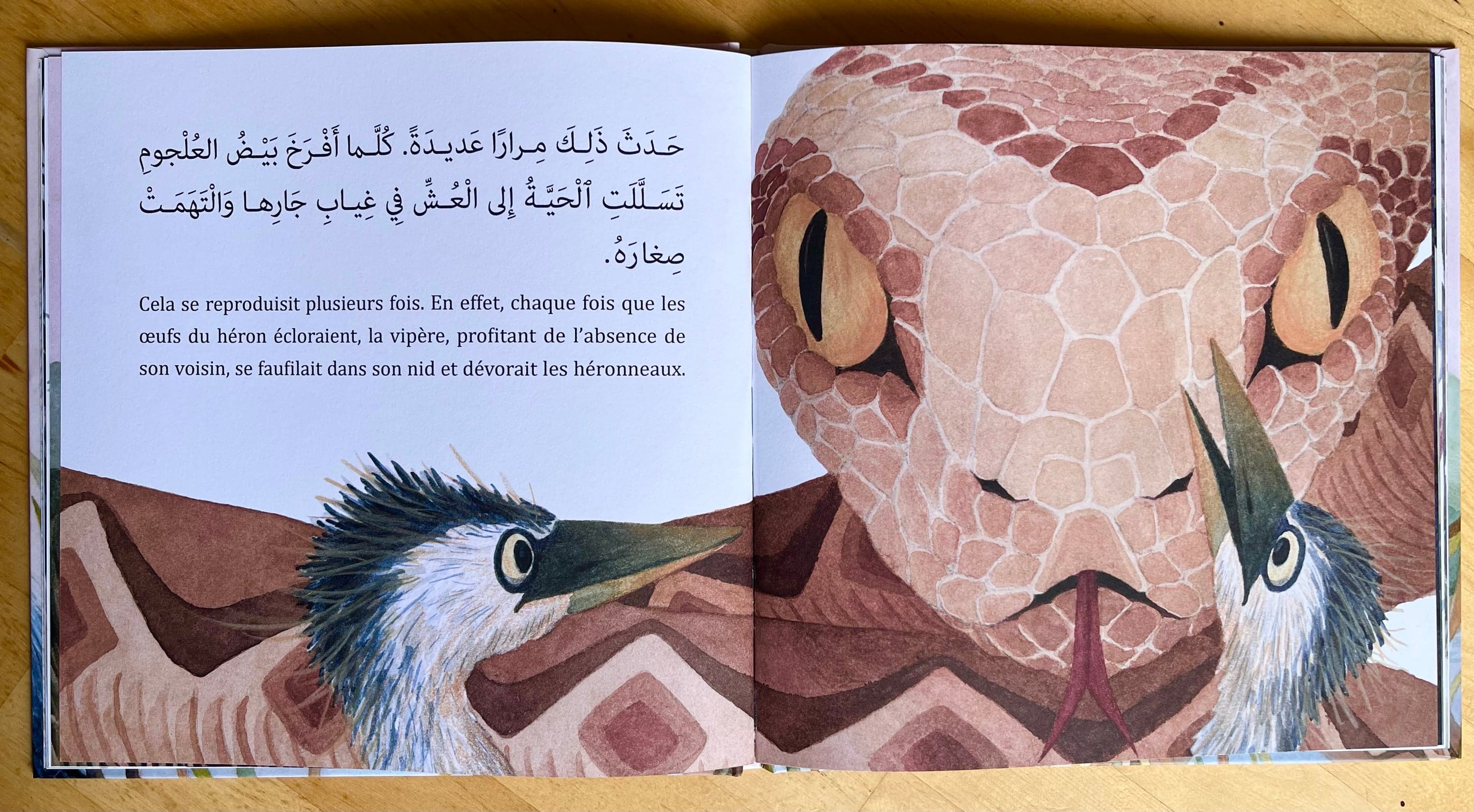 Illustration of Luna Olivier, from her project Le héron et la vipère. A photography of a double-page showing the viper facing the young herons, with the French and Arabic text.
